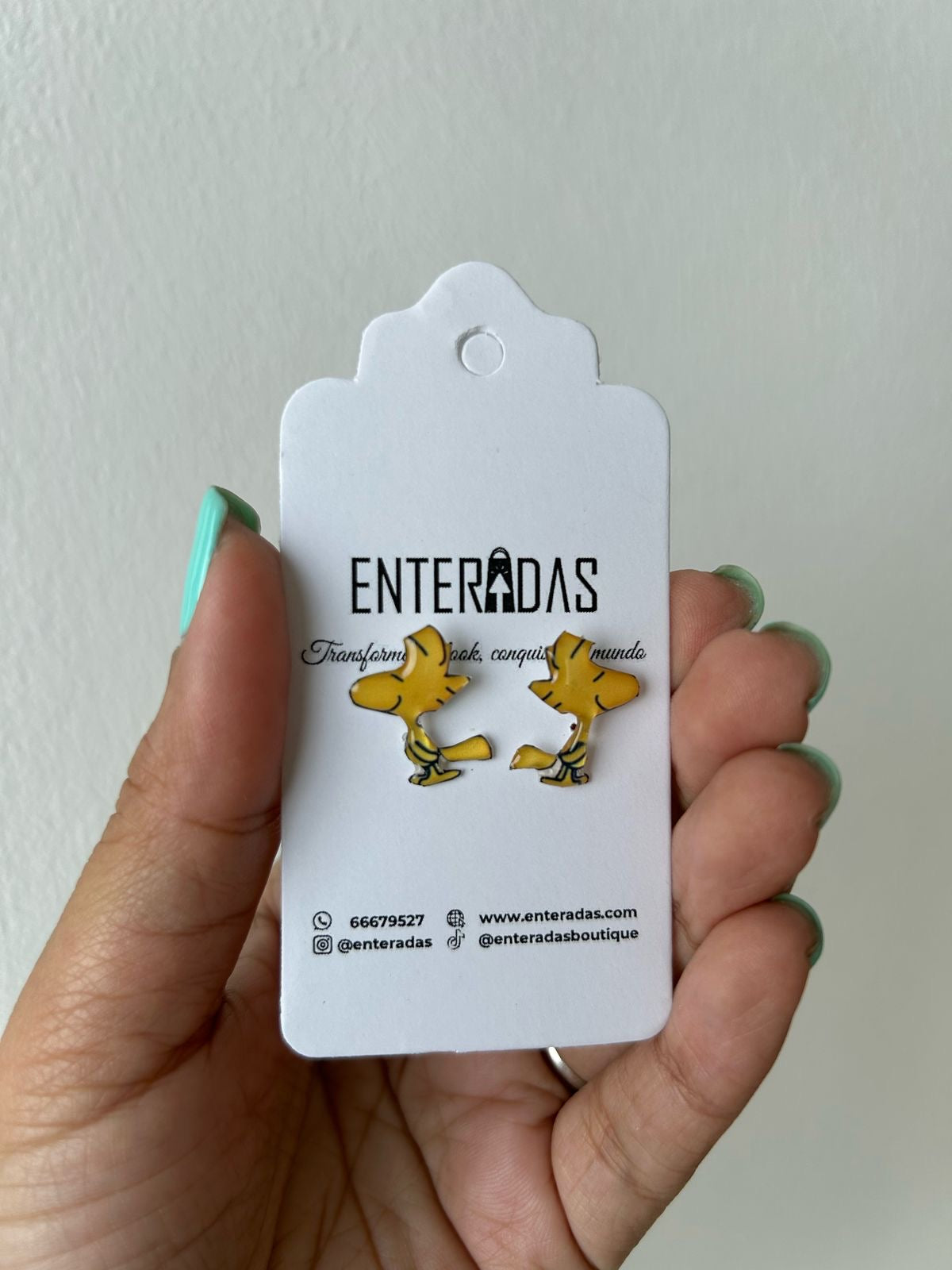 Aretes pajarito