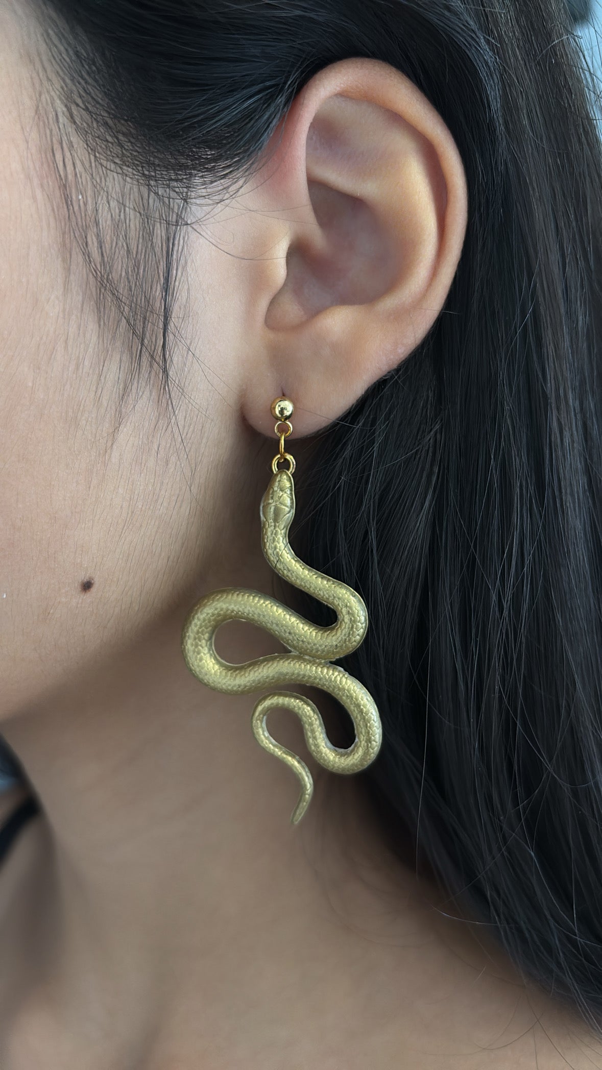 Aretes serpiente exotica