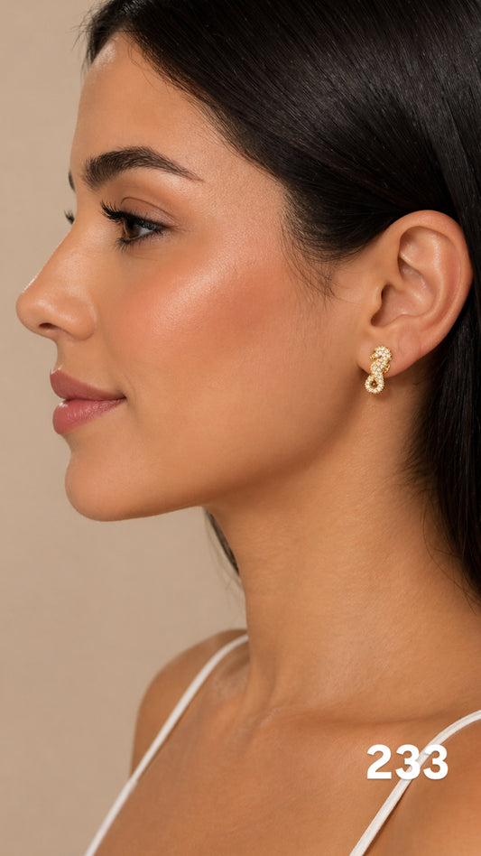 Aretes caballito de mar