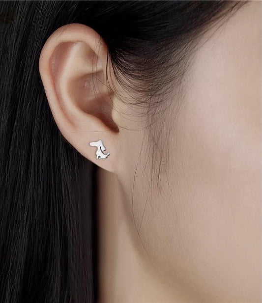 Aretes perro