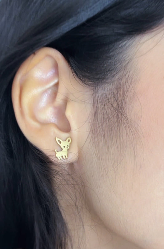 Aretes Chihuhua